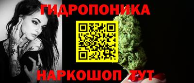 спиды Кимры