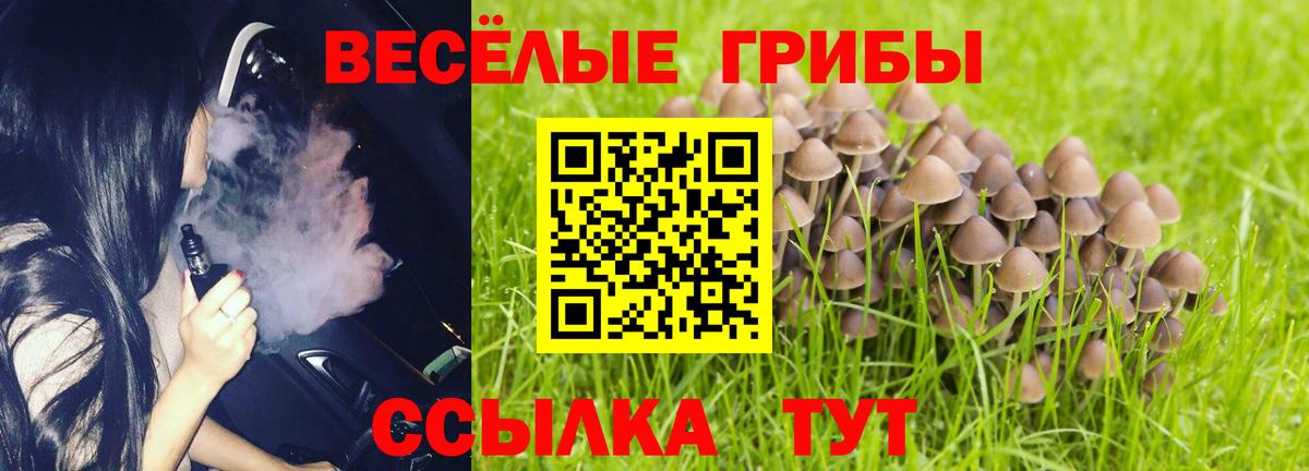 Карачаевск  Галлюциногенные грибы мухоморы  Вход с VPN 